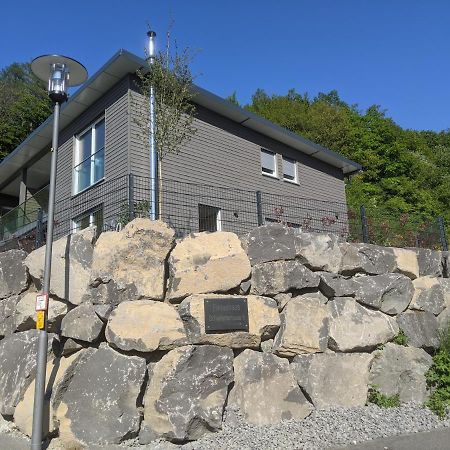 Ferienhaus Schieferterrasse - Waldsee Rieden - Esterno foto
